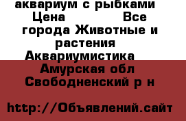 аквариум с рыбками › Цена ­ 15 000 - Все города Животные и растения » Аквариумистика   . Амурская обл.,Свободненский р-н